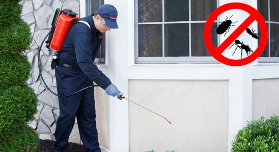 Düzköy Sivrisinek İlaçlama böcek ilaçlama ve haşere kontrolü — ilaclama-tr.com